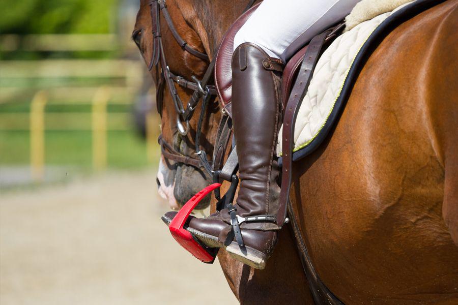 Coaching pour cavalier de saut d’obstacle