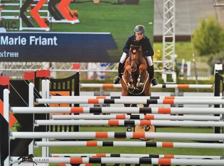 Pension pour cheval de compétition près de Nantes